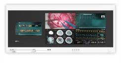 EIZO CuratOR integrated surgical wall panel